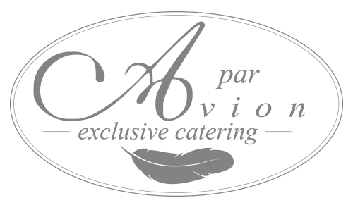Par-avion-logo-grey